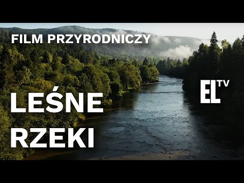 Polska znajduje się w grupie krajów zagrożonych deficytem wody. Lasy są dziś ostoją dzikich rzek. Tutaj mamy niepowtarzalną okazję obserwować jeszcze naturalne procesy...