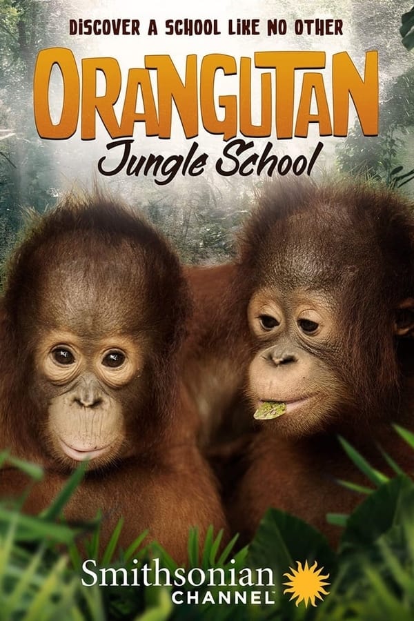 EN| Orangutan Jungle School