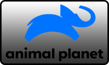 BG| ANIMAL PLANET FHD