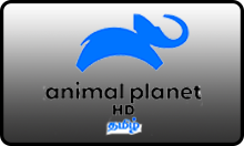 IN| ANIMAL PLANET FHD TAMIL