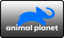 IN| ANIMAL PLANET ENG FHD