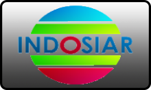 ID| INDOSIAR HD