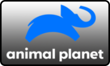 PL| ANIMAL PLANE HD